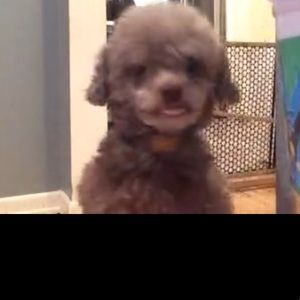 Meet your Posher, Kendra